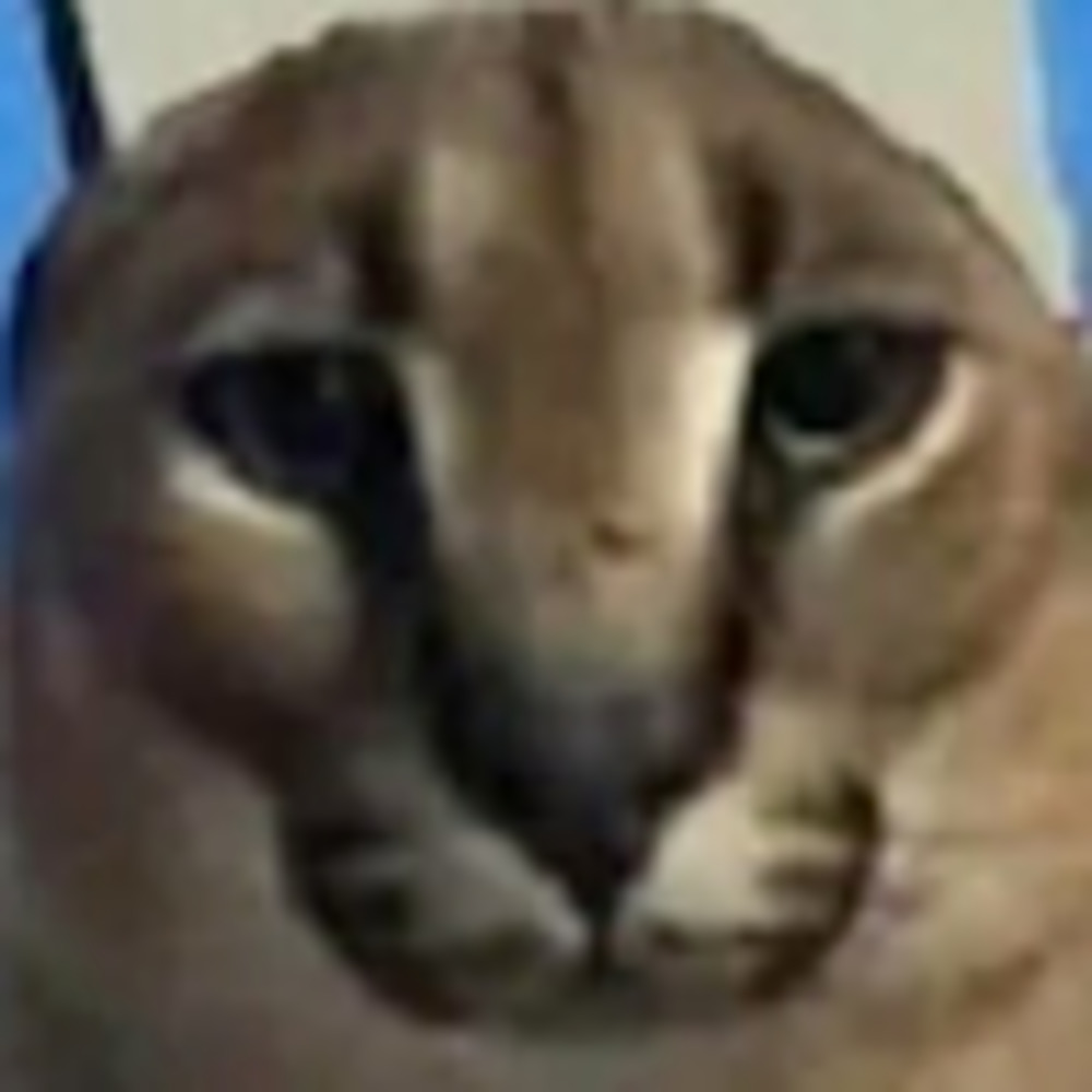 Meet your Posher, Mia